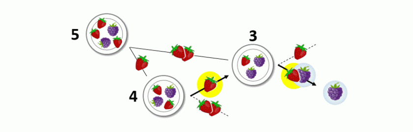 Esquema fruta 2
